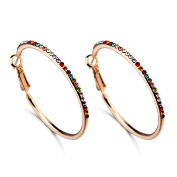 Fashion hoop earring 83716