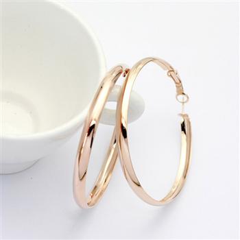 Circle shape alloy gold-plated earring 82611
