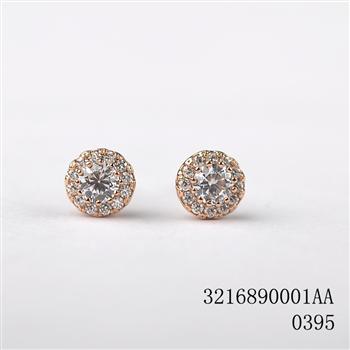 Fashion earrings 321689
