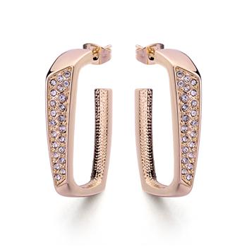 Wholesale fashion earring  120944