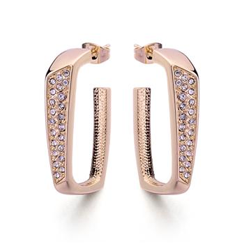 Wholesale fashion earring  120944