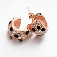 Fashion earring 123052