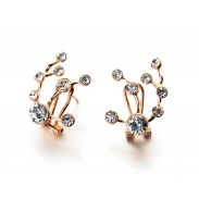 Fashion earrings 87749