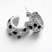 Fashion earring 84449