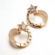 fashion earring 125069