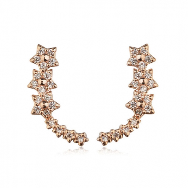 Fashion five-star earring 125667