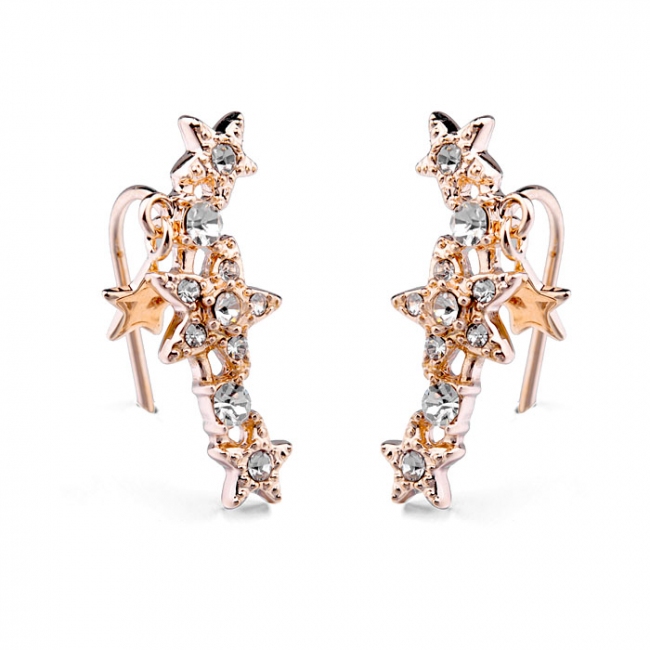 Fashion earring 125665