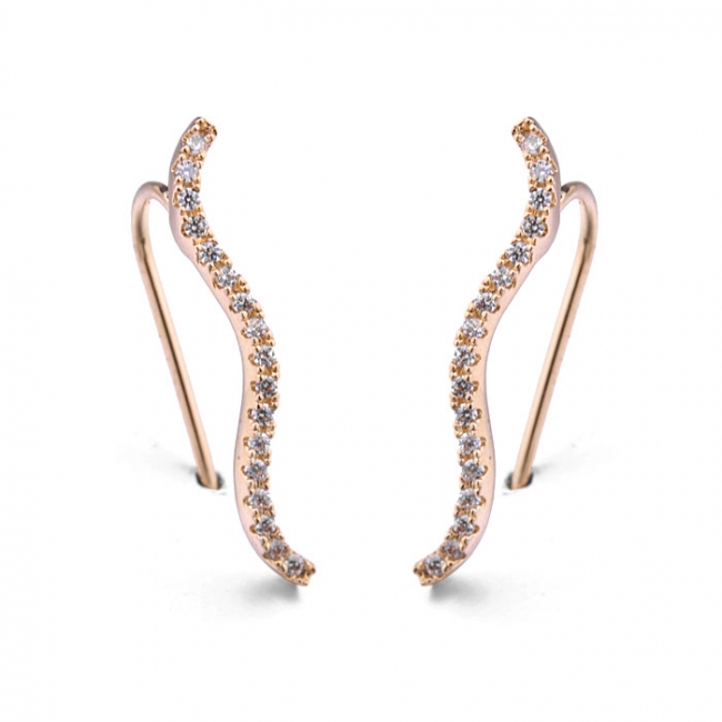 Fashion earring  125668