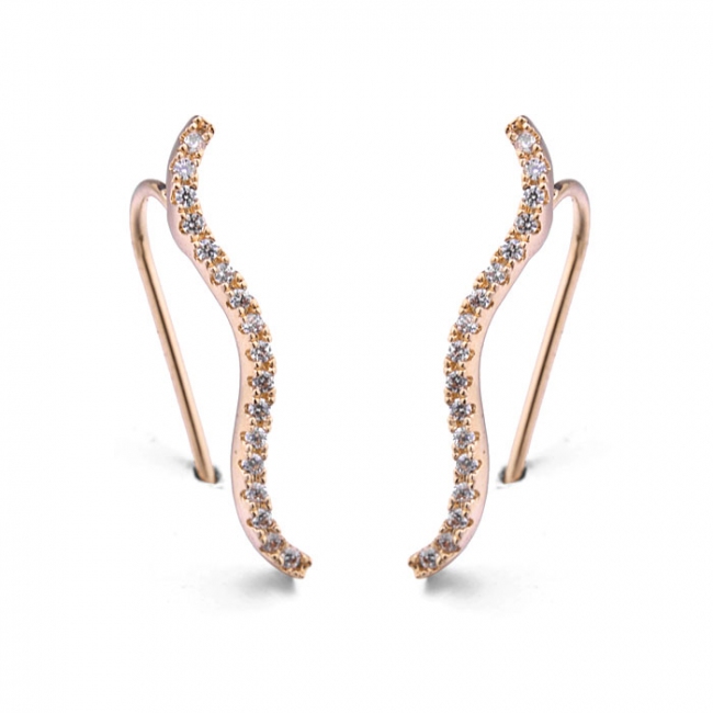 Fashion earring  125668