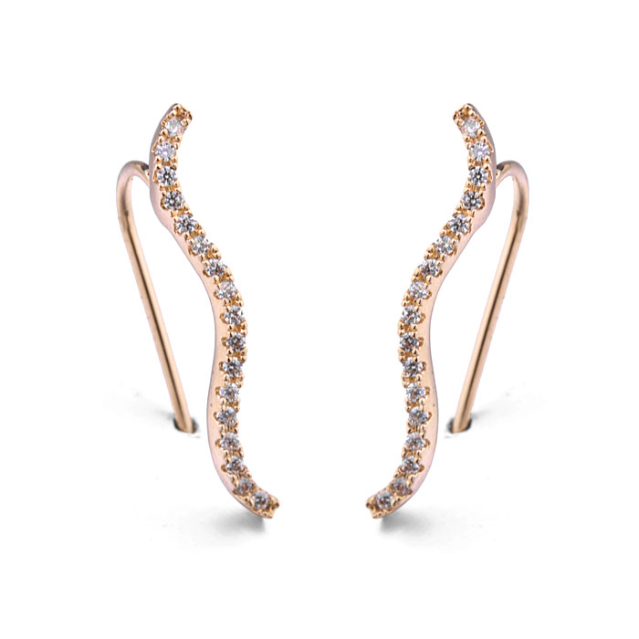 Fashion earring  125668