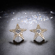 star stud earring 2050