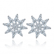 fashon zircon earrings 2013